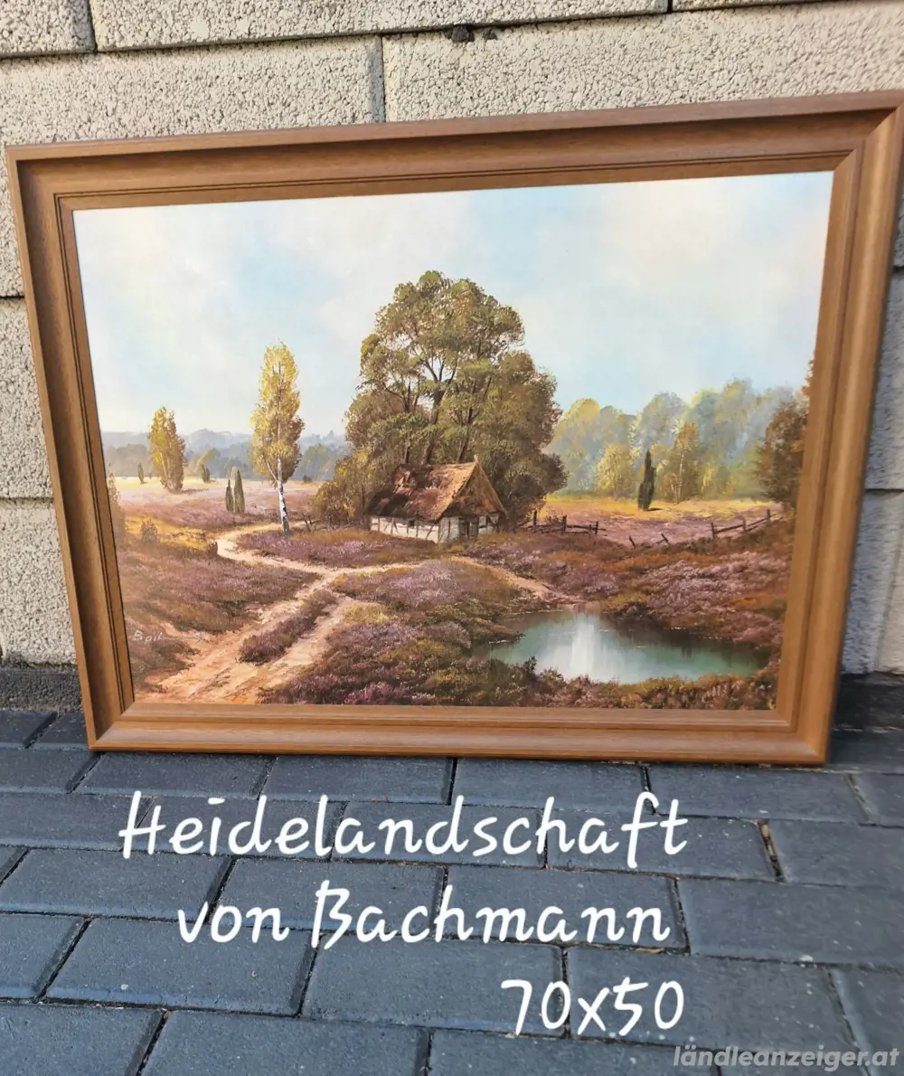 Heidelandschaft von Bachmann