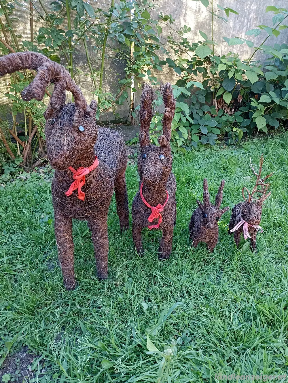 Hirschfamilie