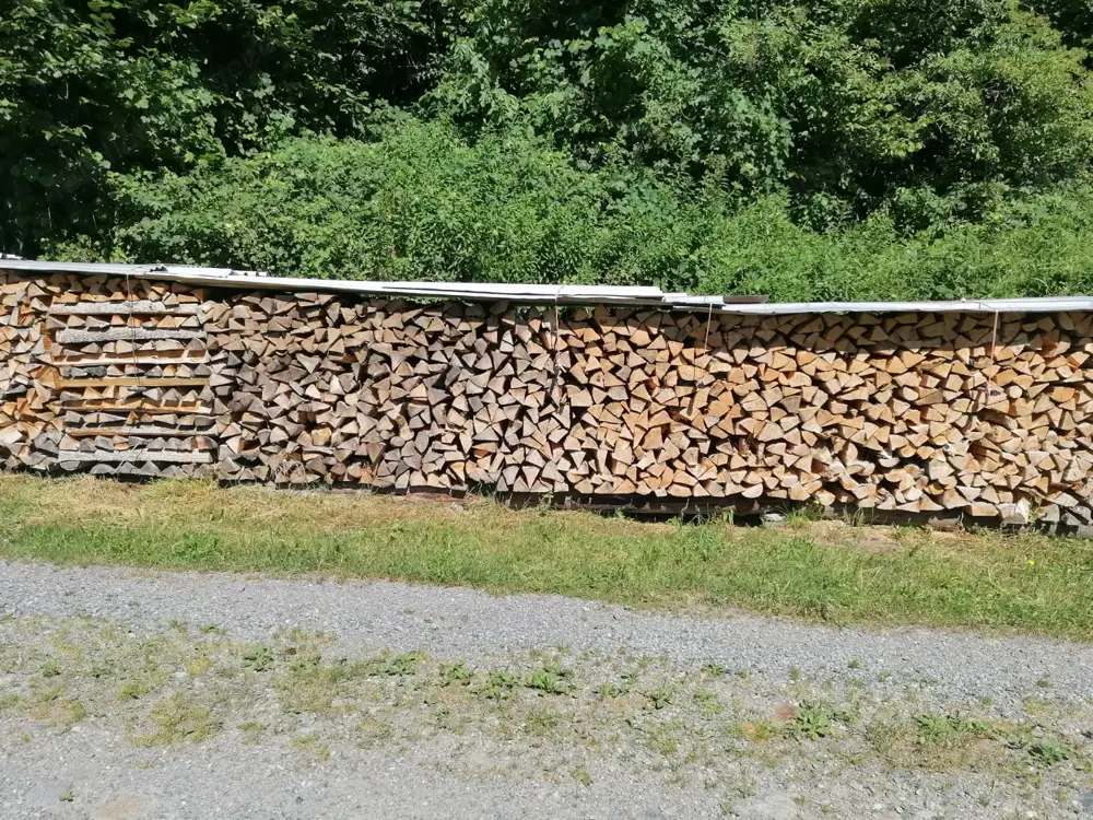 Eschen Hartholz