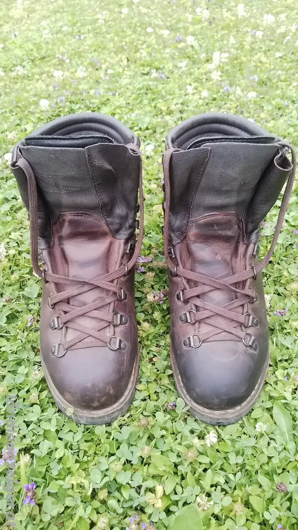 Bergschuhe Meindl Perfekt, Größe 43.5