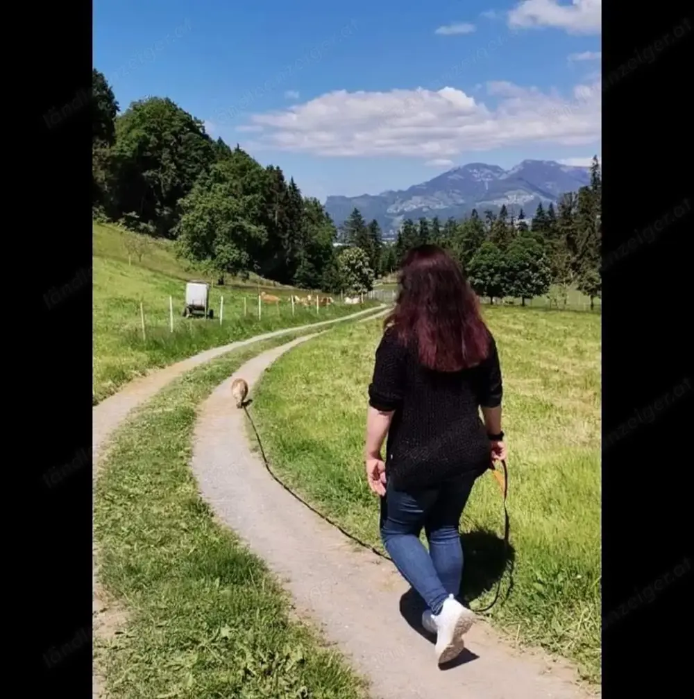 Suche Nebenjob bei freier Zeiteinteilung!