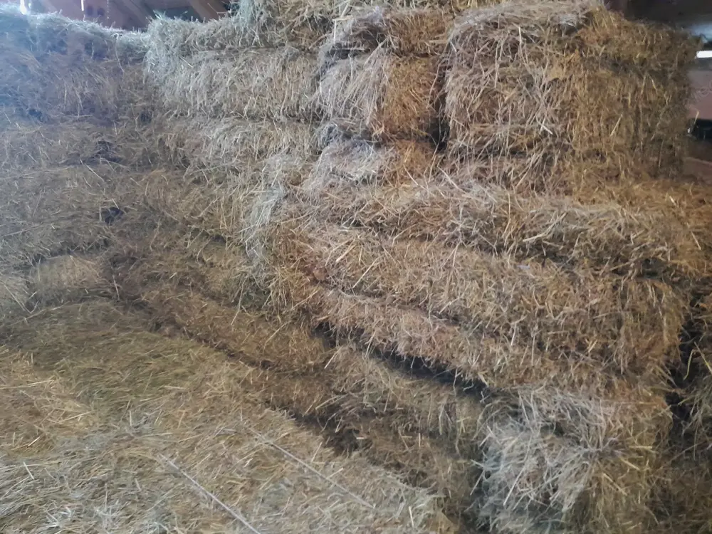 Heu, Bioheu, Bergheu