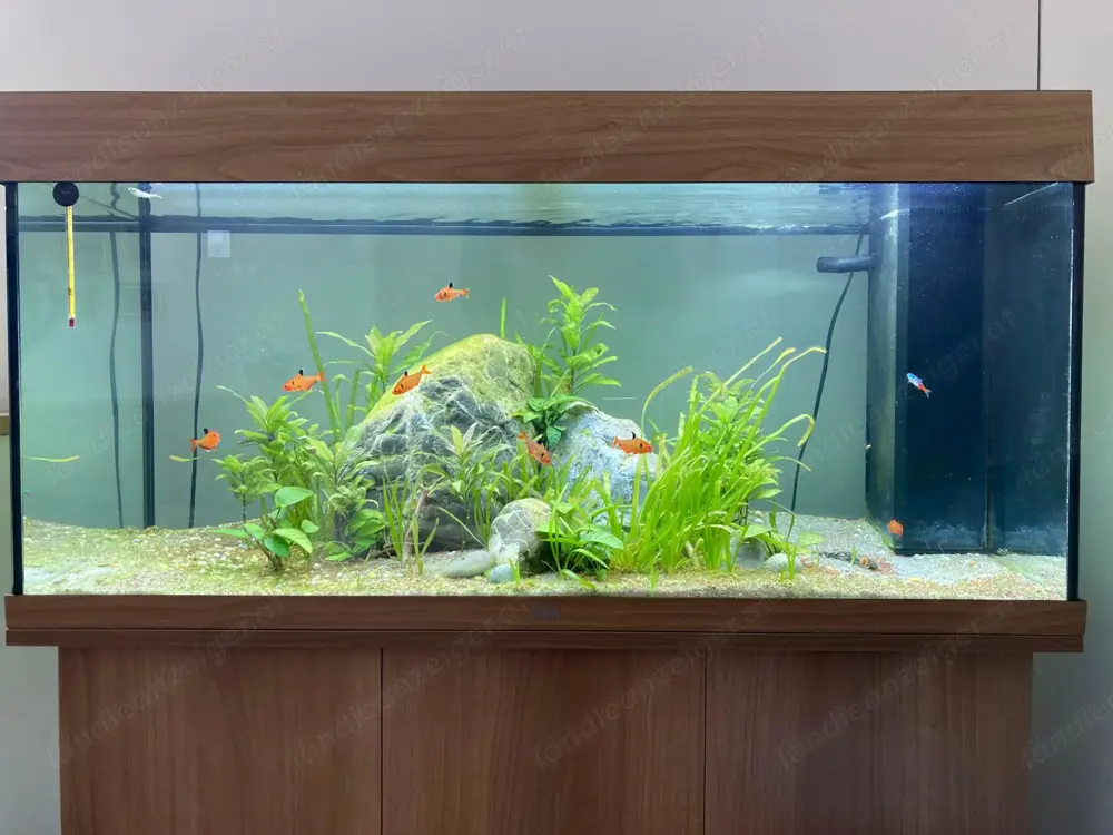 AQUARIUM JUWEL Kombination Rio 180