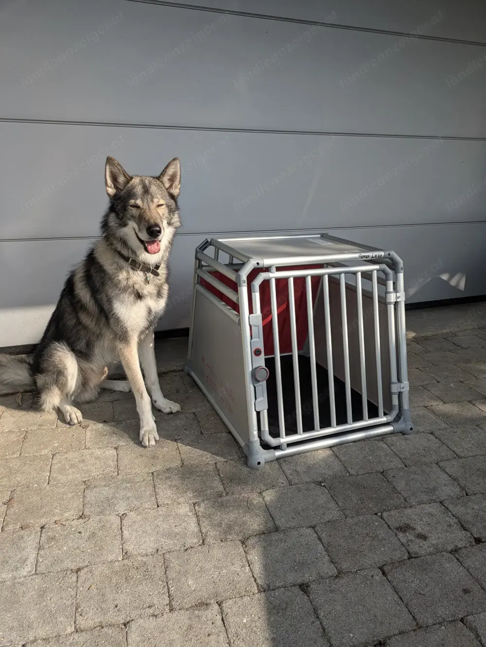 Hundebox Auto 4pets Pro 3 M