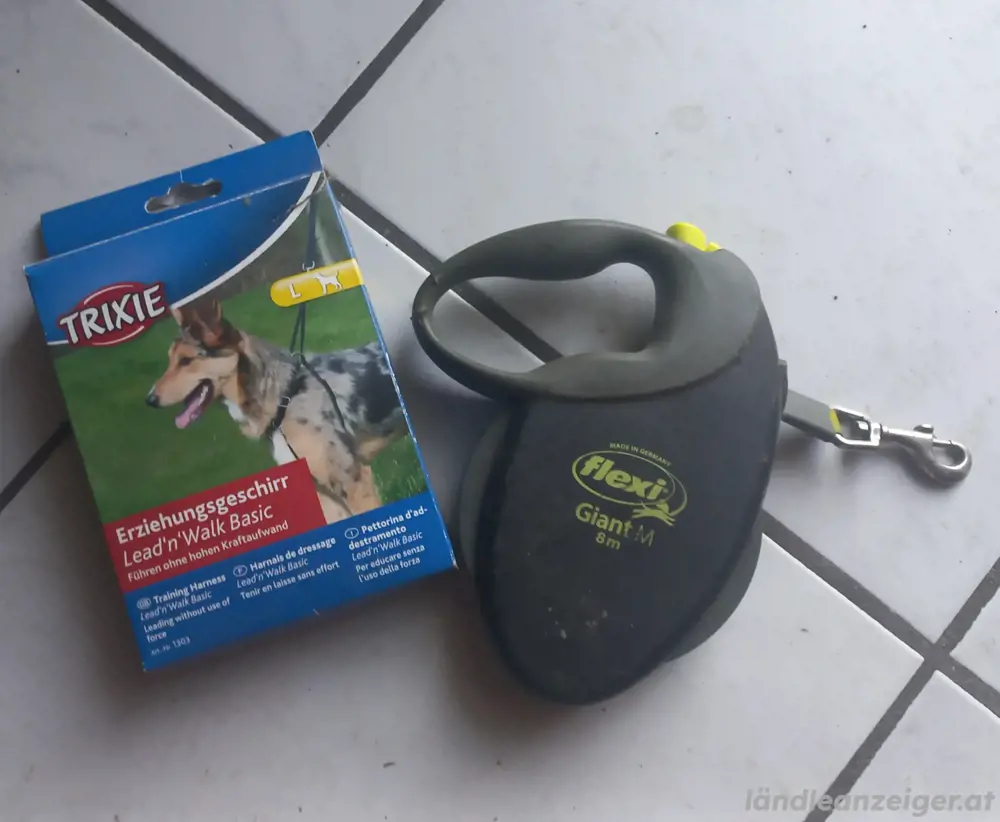 Hundeleine mit Geschirr