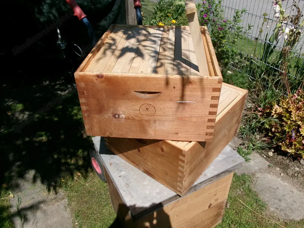 5 Bienenstöcke + 1 Honigschleuder + Zubehör 