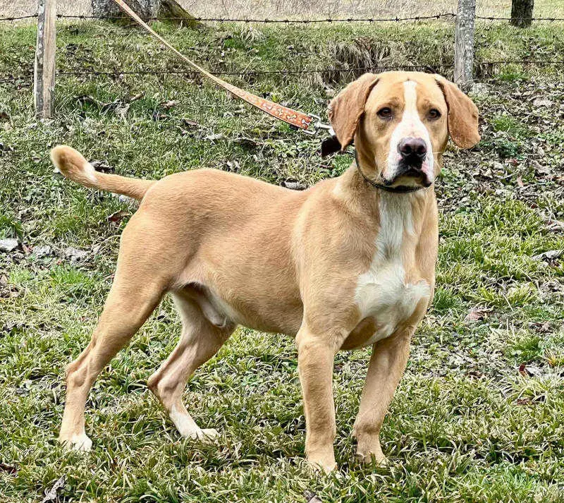 Bosko möchte SEINE Familie glücklich machen