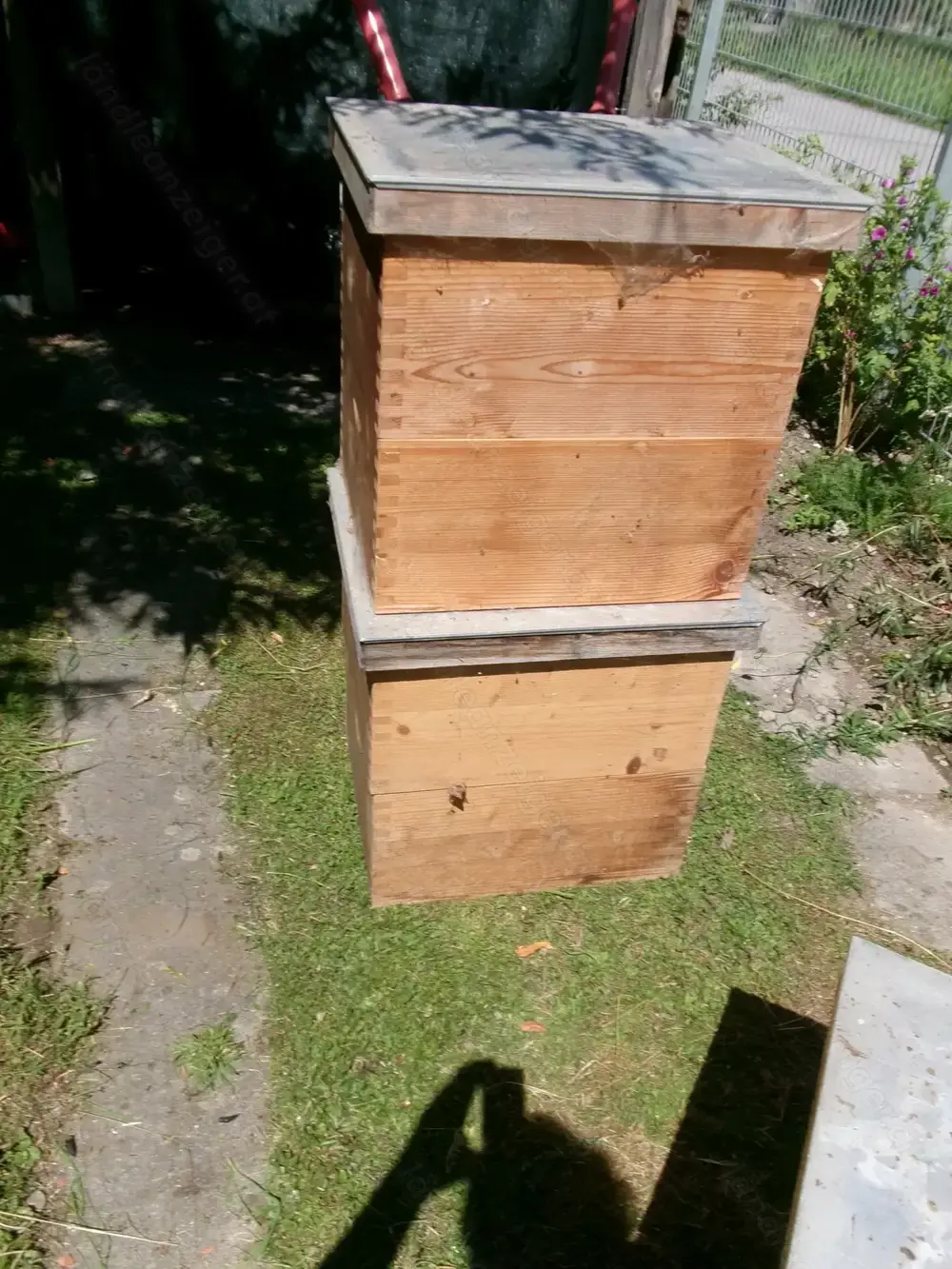 Bienenstöcke + Honigschleuder + Zubehör 