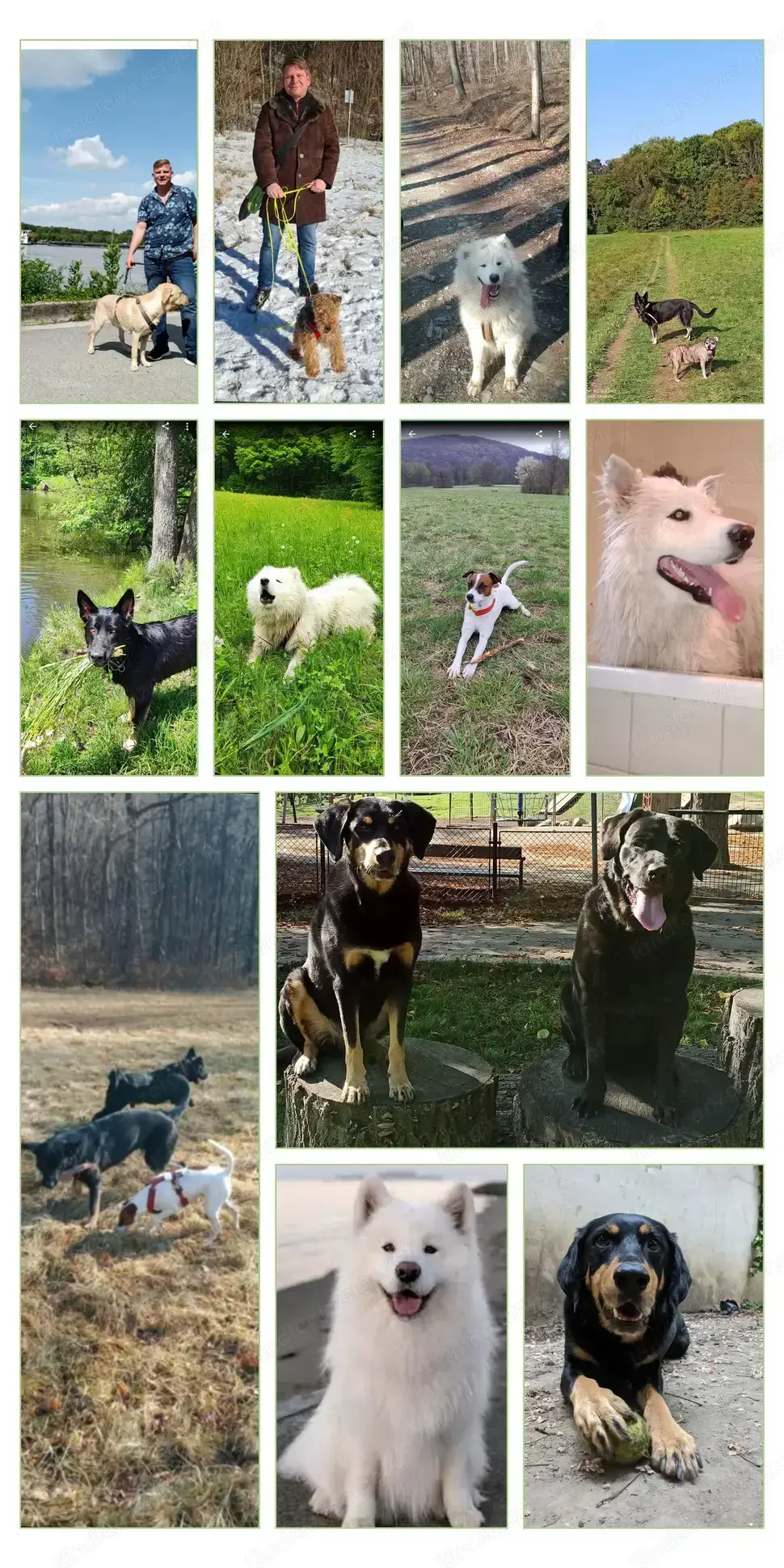 Hundeurlaub auf dem Land 