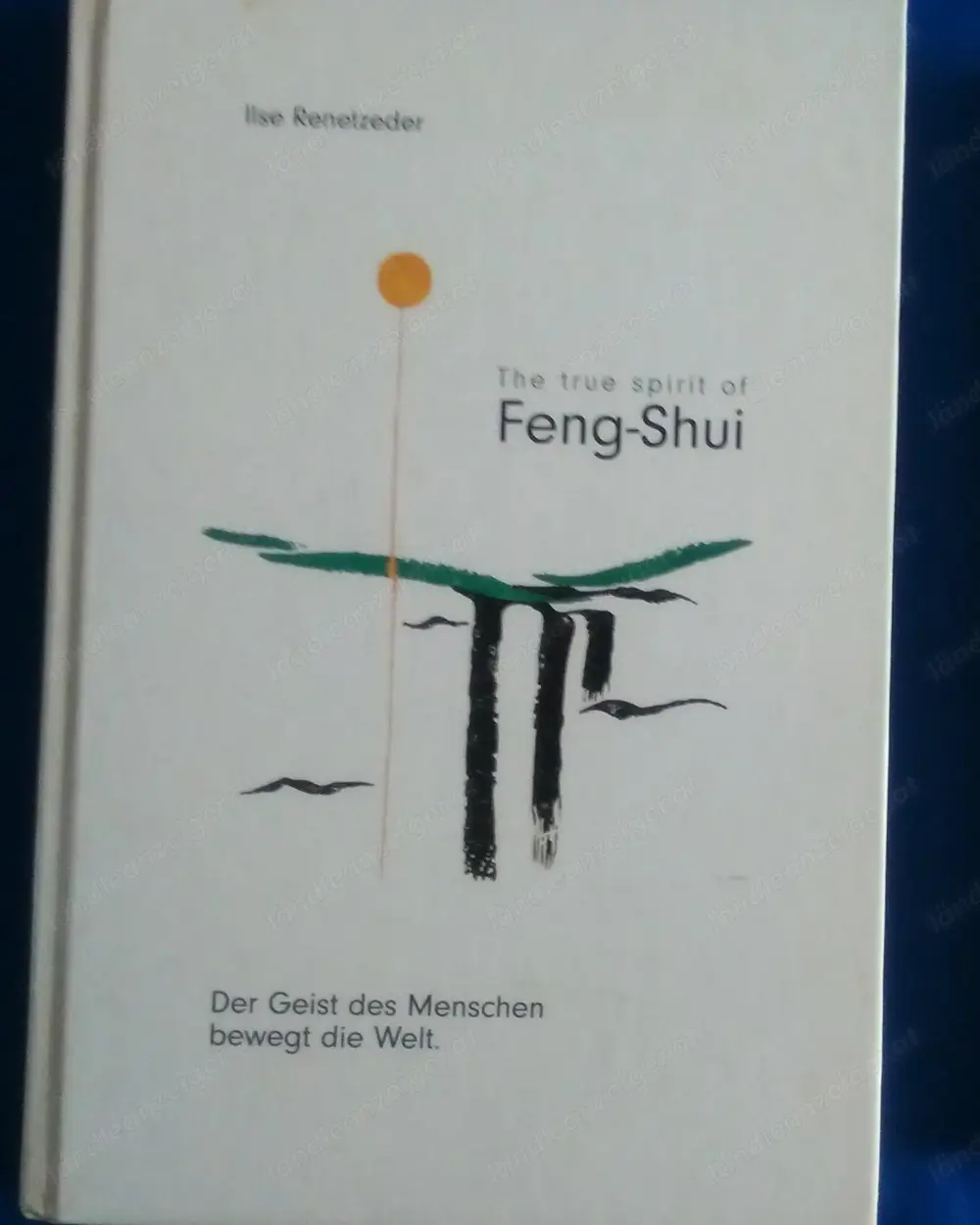 Feng Shui (Ilse Renetzeder)