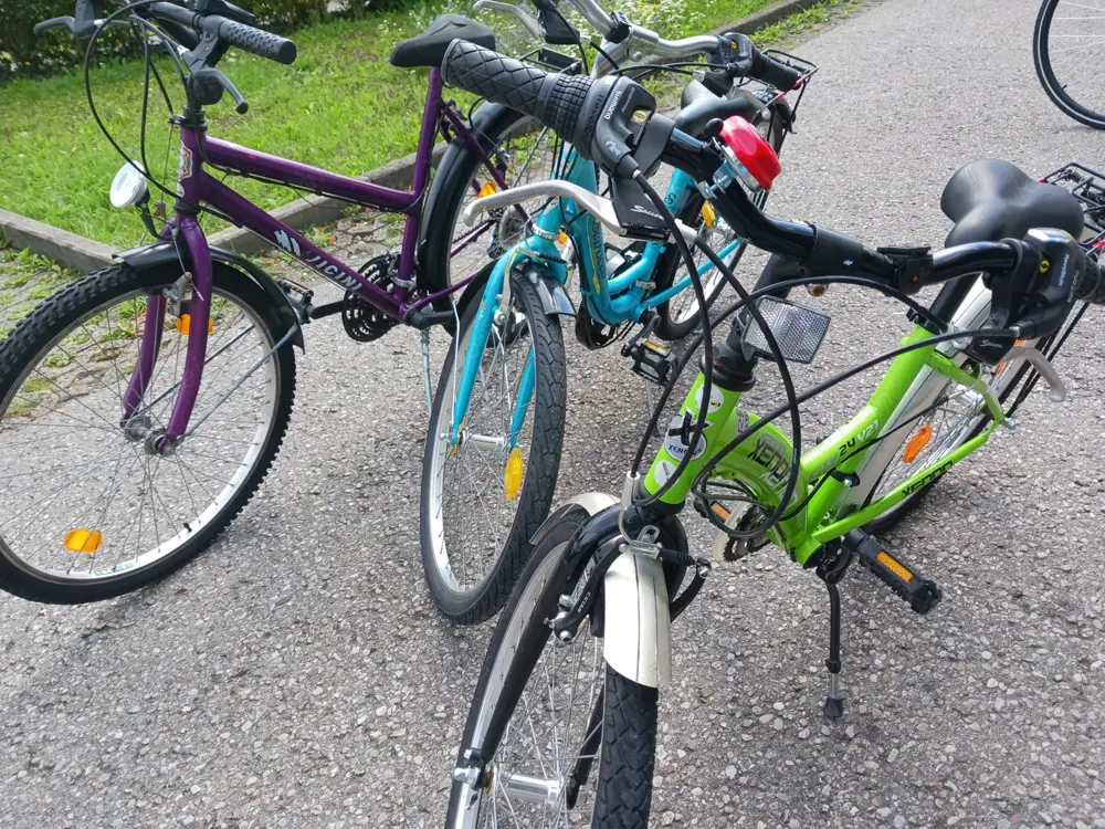 3 Jugend Fahrräder 