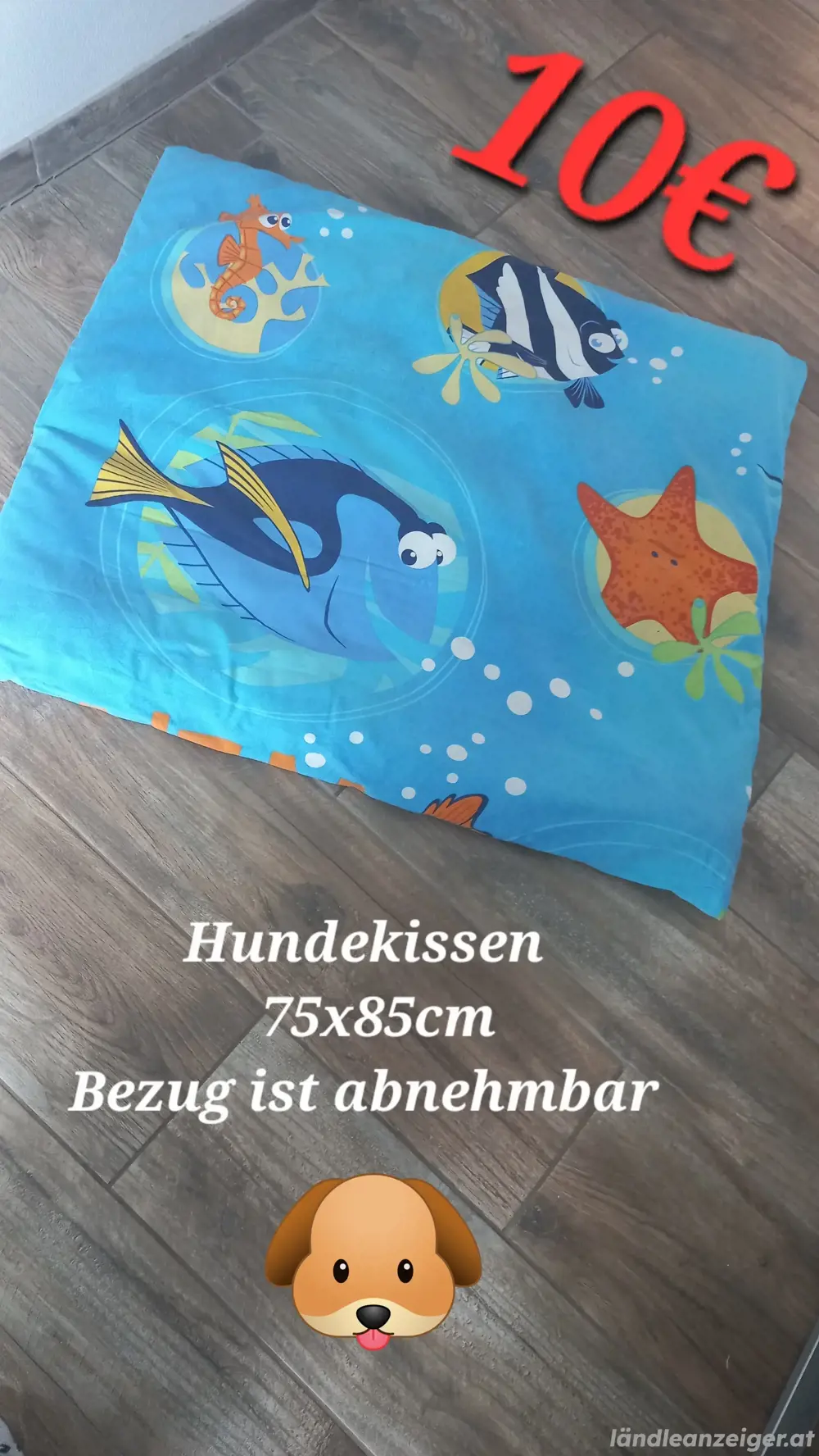 Verschiedene Hundeartikel ab 5 