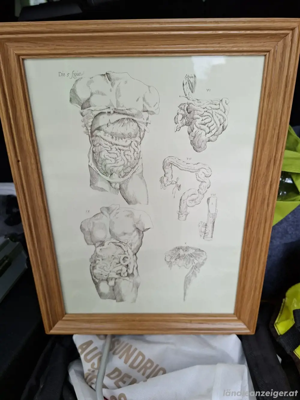 Bilder anatomisch, alt