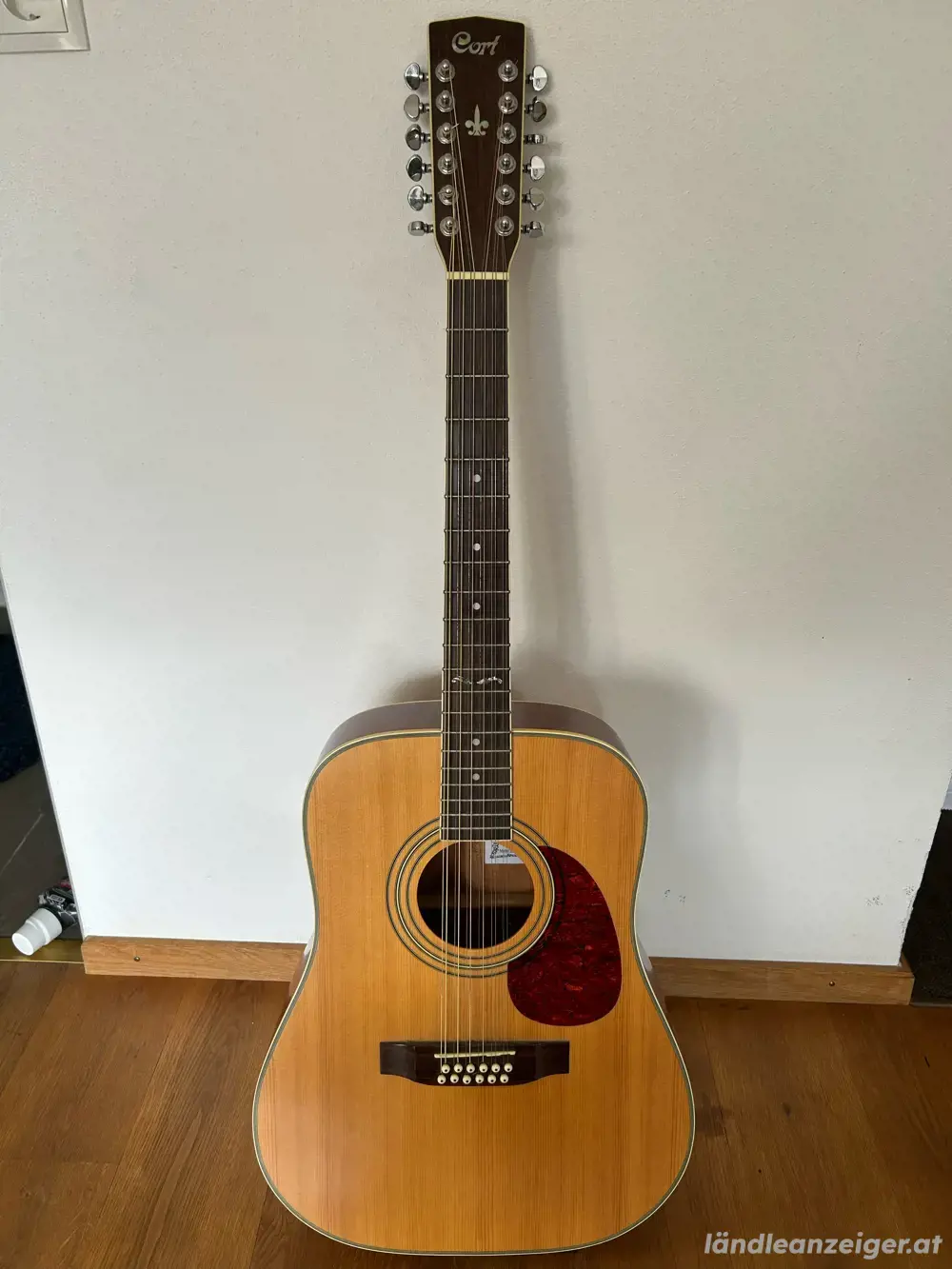 12 Saiter Akkustik Gitarre Cort