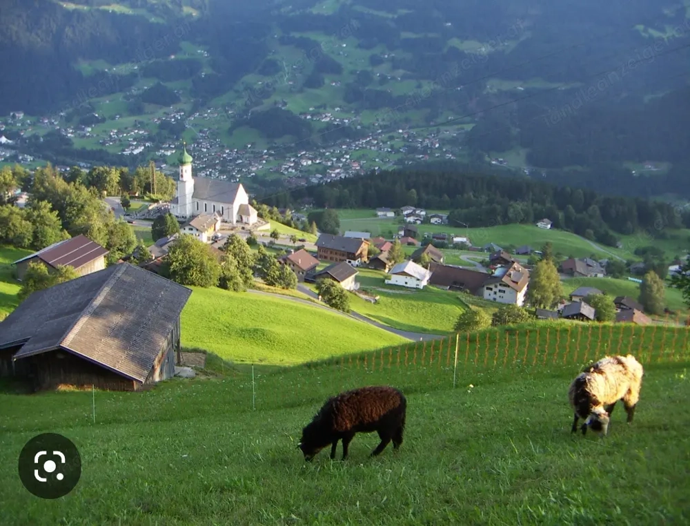 Wohnung oder Haus im Montafon zur Miete gesucht!