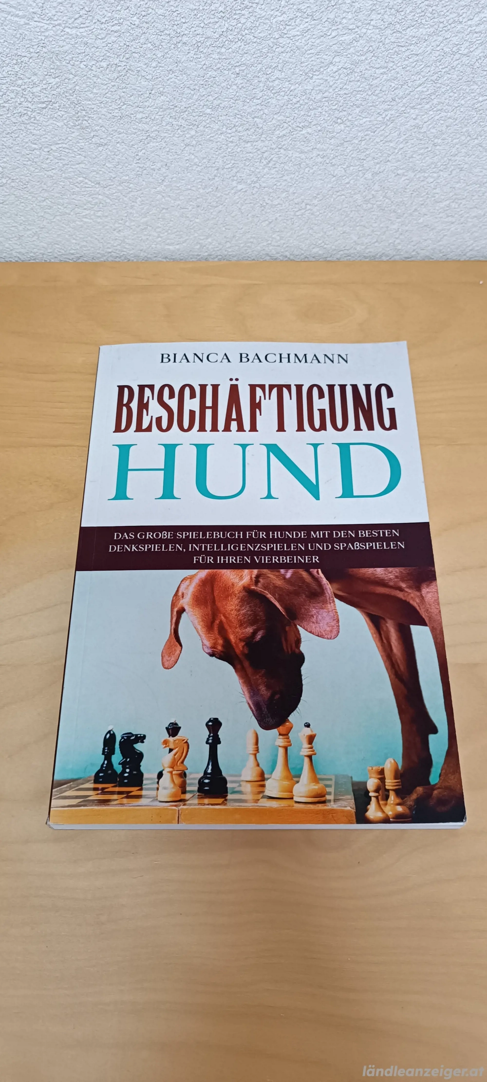 Hunde Buch Ideen Beschäftigung Spiel Training