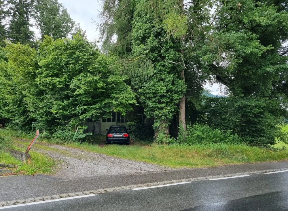 Grundstück 700qm  in Hohenweiler mit 100qm  Bestandsgebäude - Schrebergarten, Garage, Lagerhalle