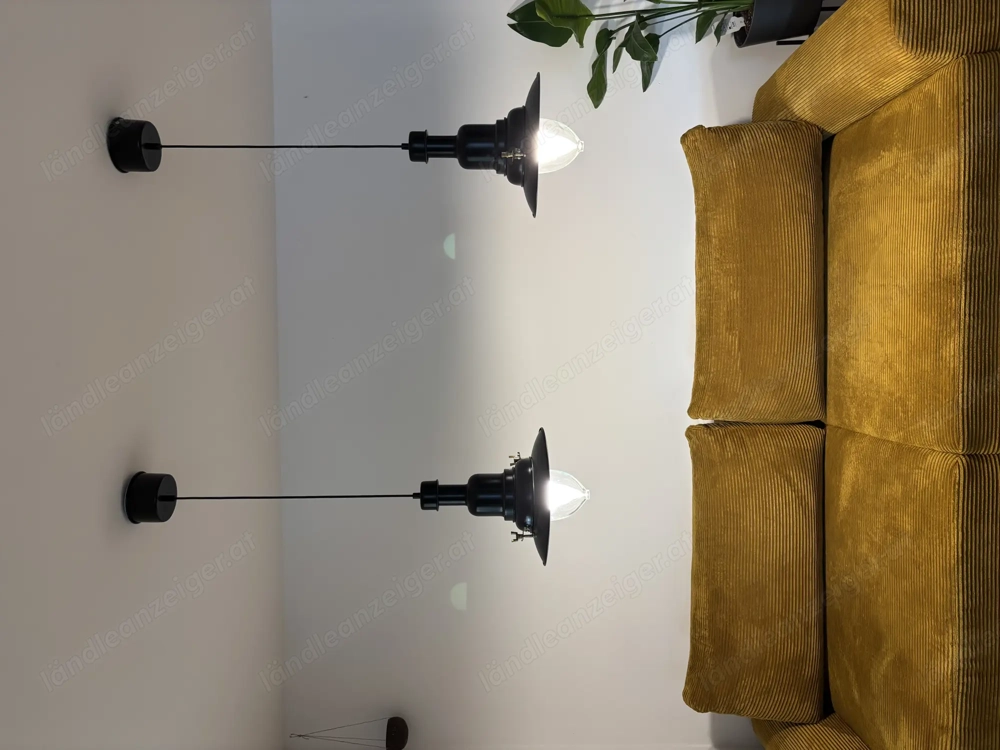 Hängeleuchte schwarz 