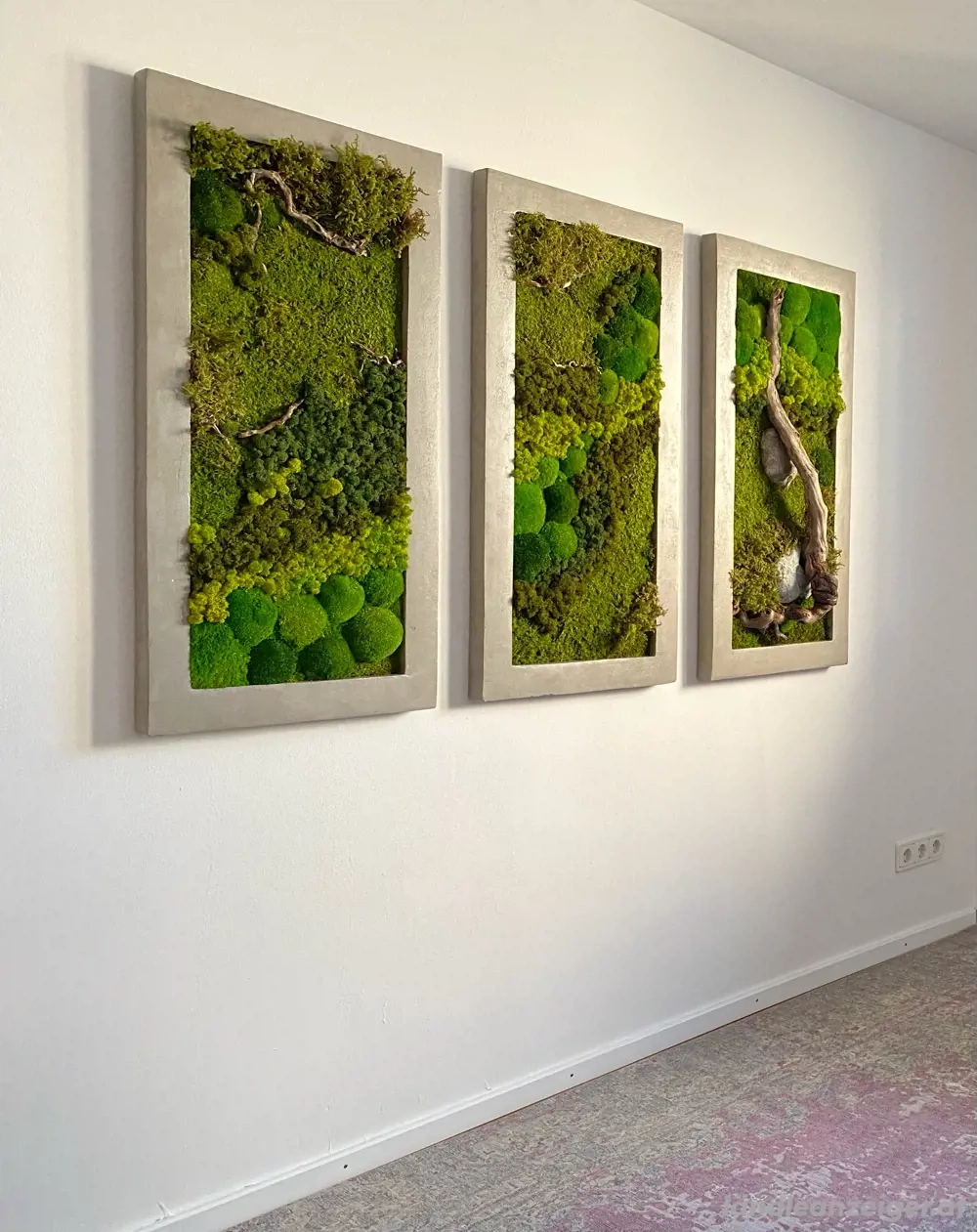 Moos Landschaft Trilogie . Moosbild