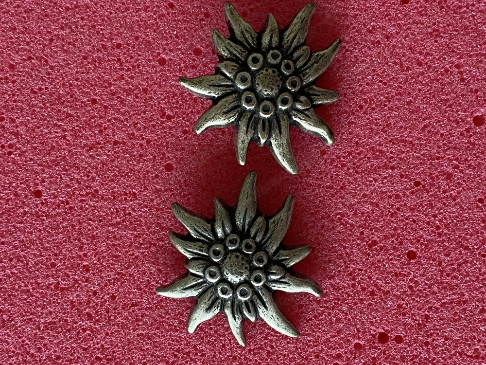 Ohrstecker : Edelweiß 