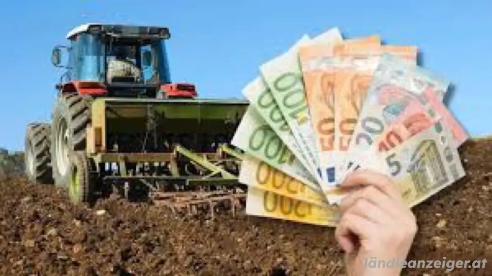 Kredite: Entwickeln Sie Ihre Projekte, Unternehmen, Immobilien, Landwirtschaft usw.