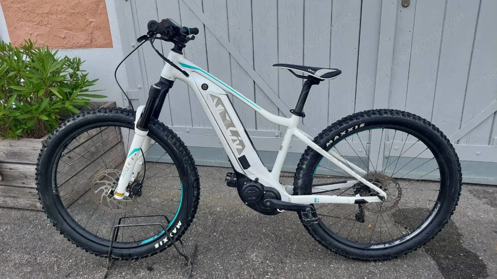 LIV Damen E-MTB Hardtail in S