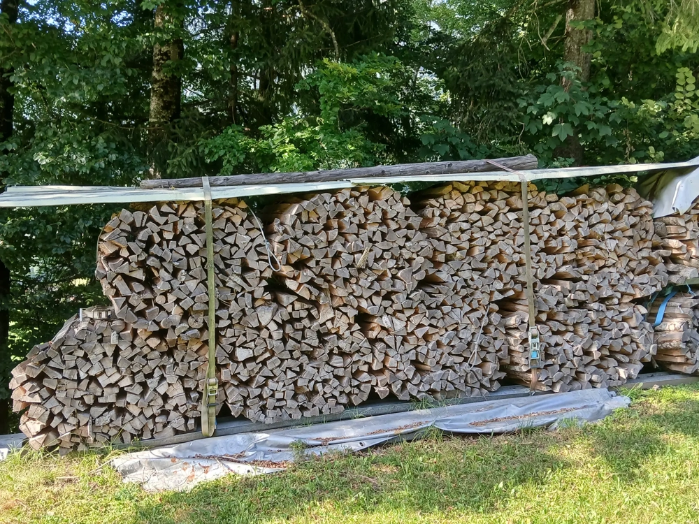 Brennholz Hartholz und Weichholz 