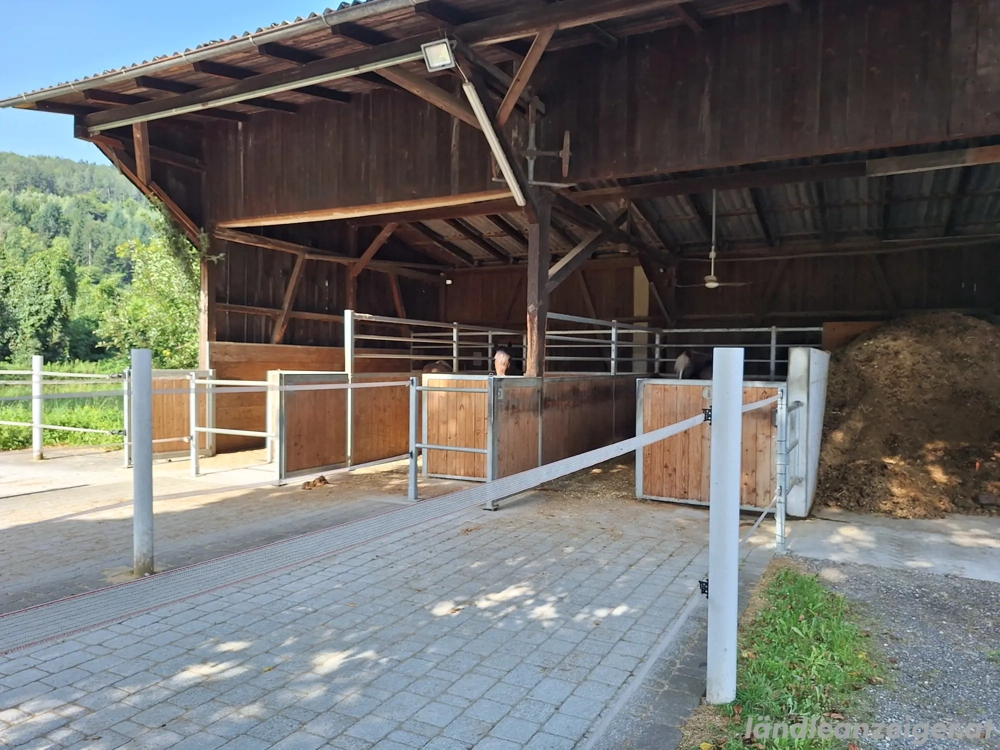 Pferdestall Auflösung