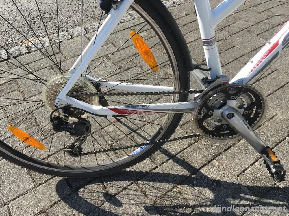 sportliches Damenrad