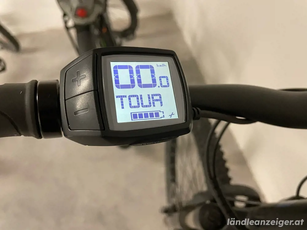 E-Montainbike  Bosch-Motor  generalüberhol 03 24