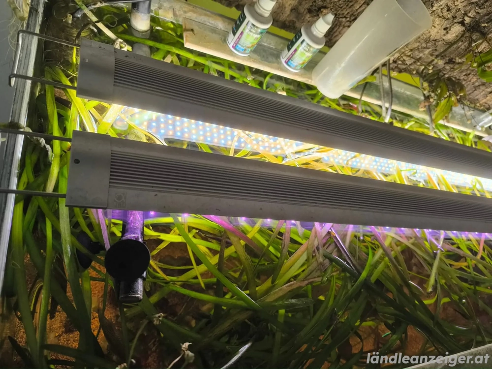 LED Beleuchtung inkl. Controller