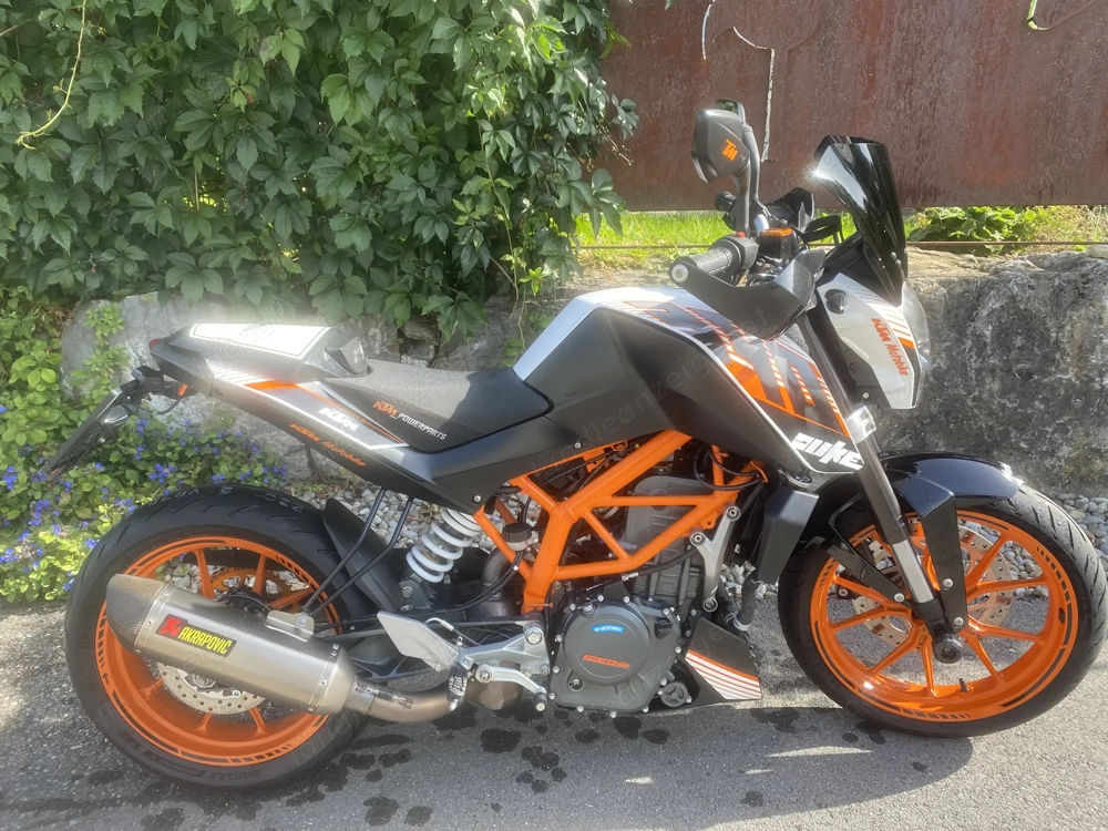 Scharfes  Biest abzugeben