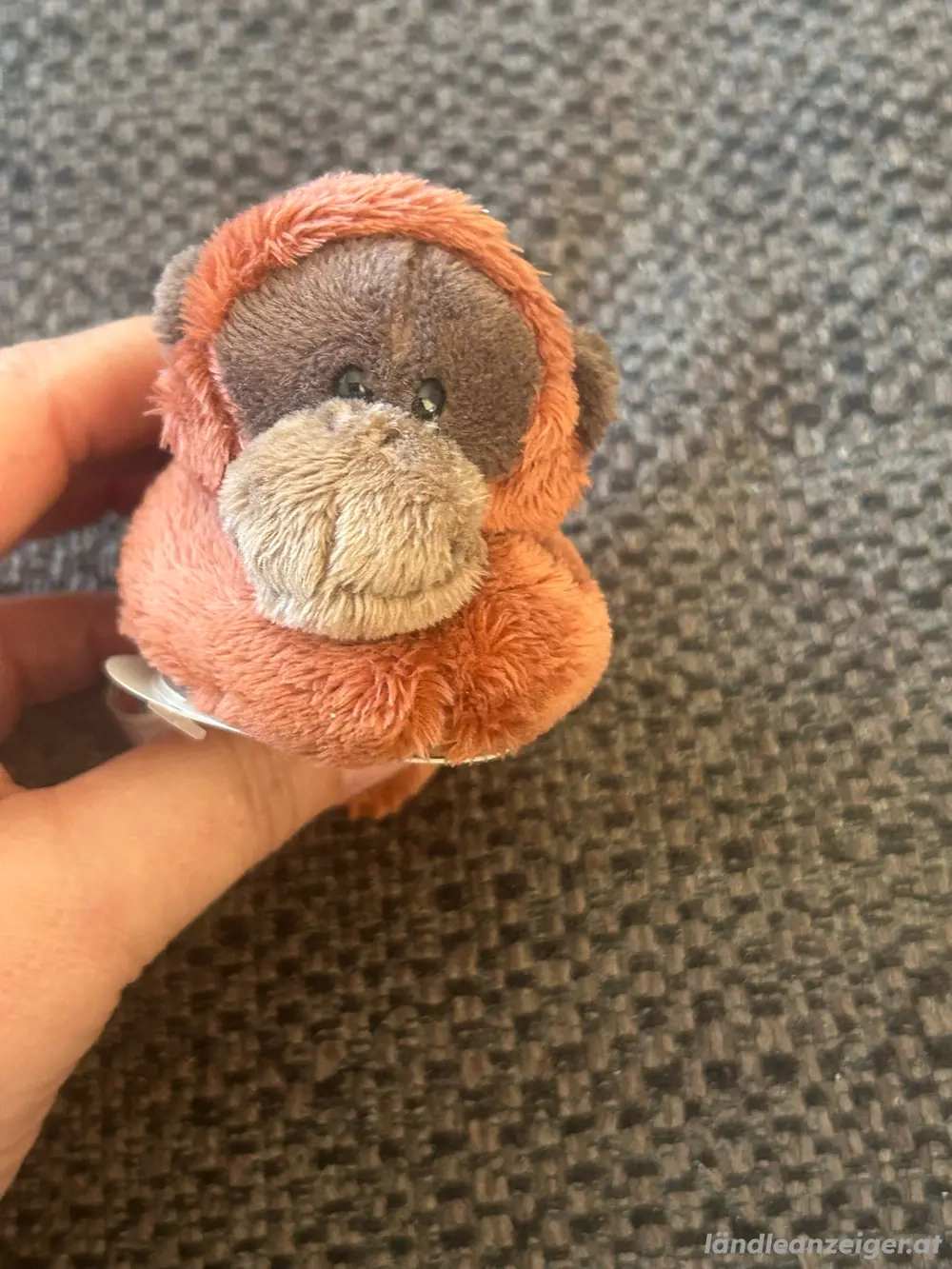 Nici Affe magnetisch