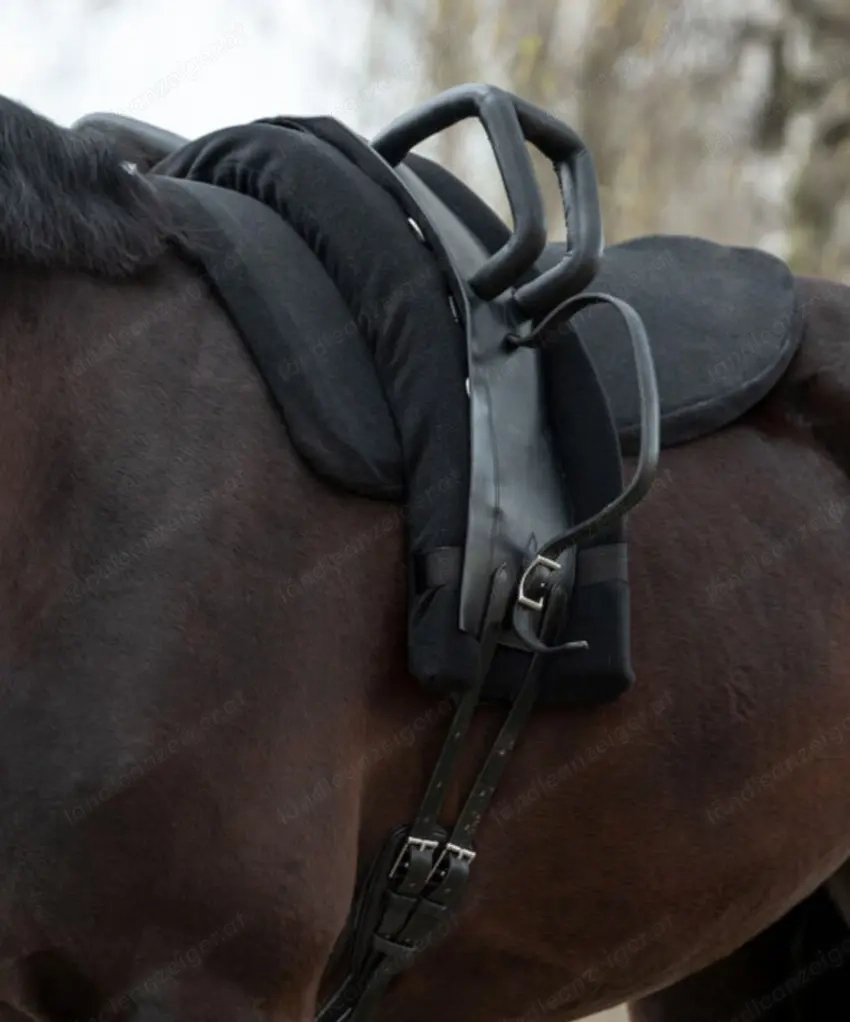 Voltigier   Longier Unterlage "Volti by Steeds" inkl. Überzug