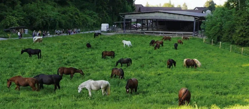 Einstellplatz in Koblach zu vergeben 