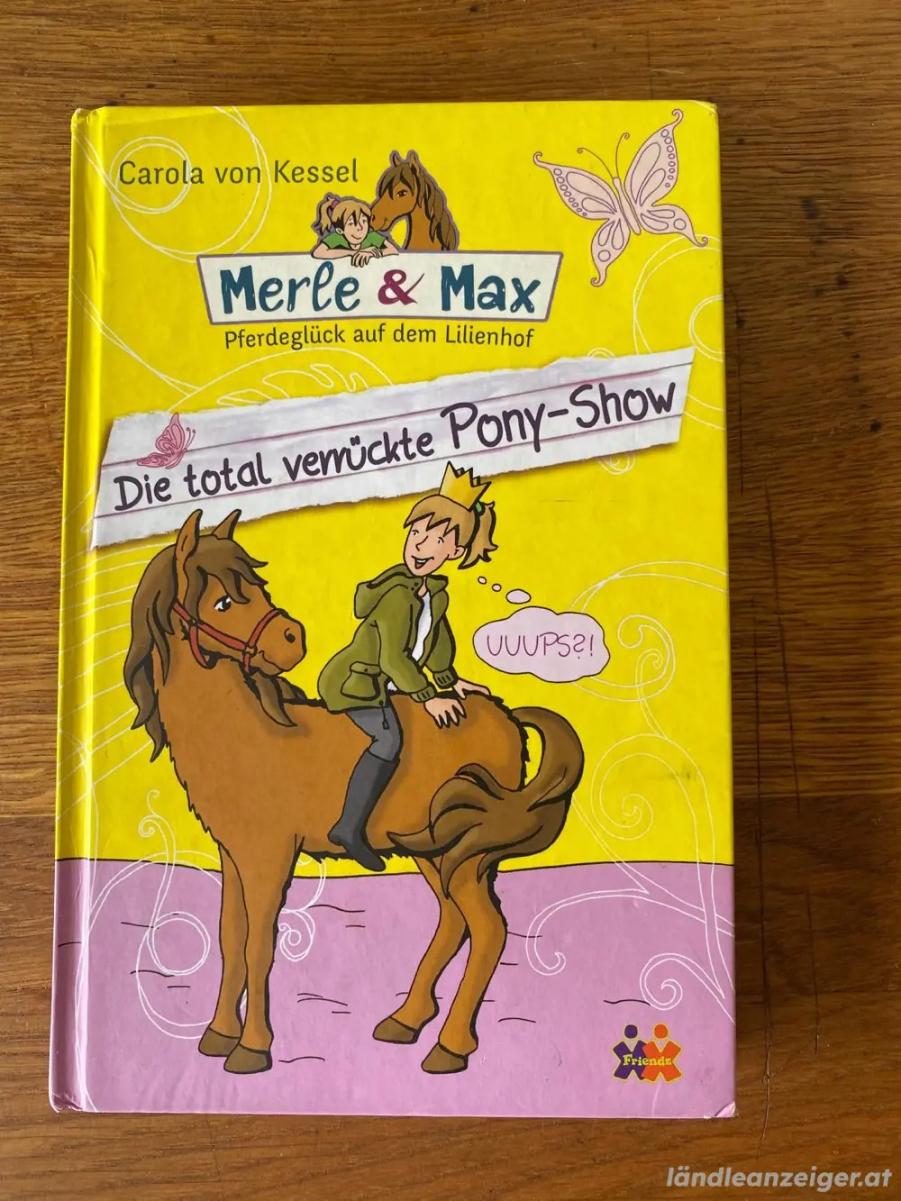 Buch: Merle und Max -Die total verrückte Pony-Show