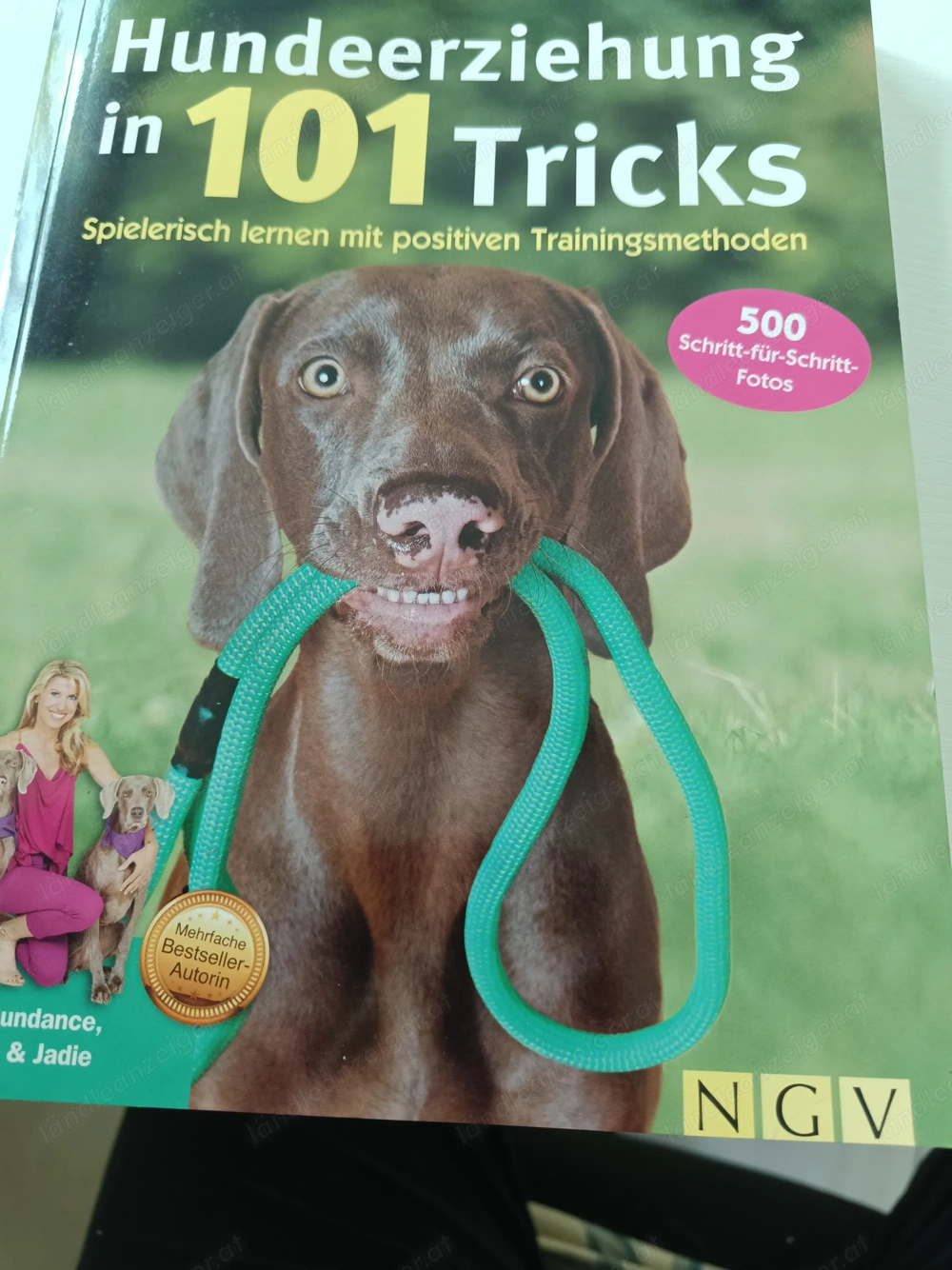 Buch zur Hundeerziehung 