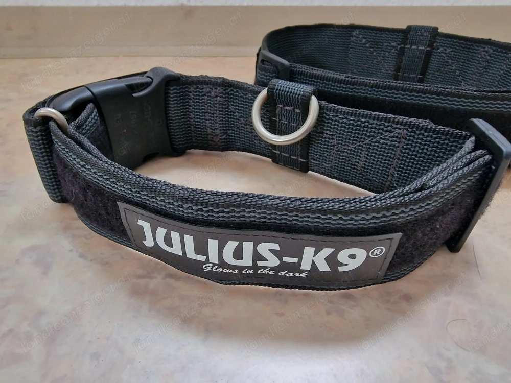2 Stück JULIUS-K9 Hunde Halsband mit Haltegriff