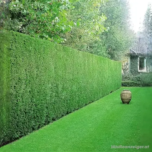 Gärtner Gartenarbeit alles rund um ihr Garten 