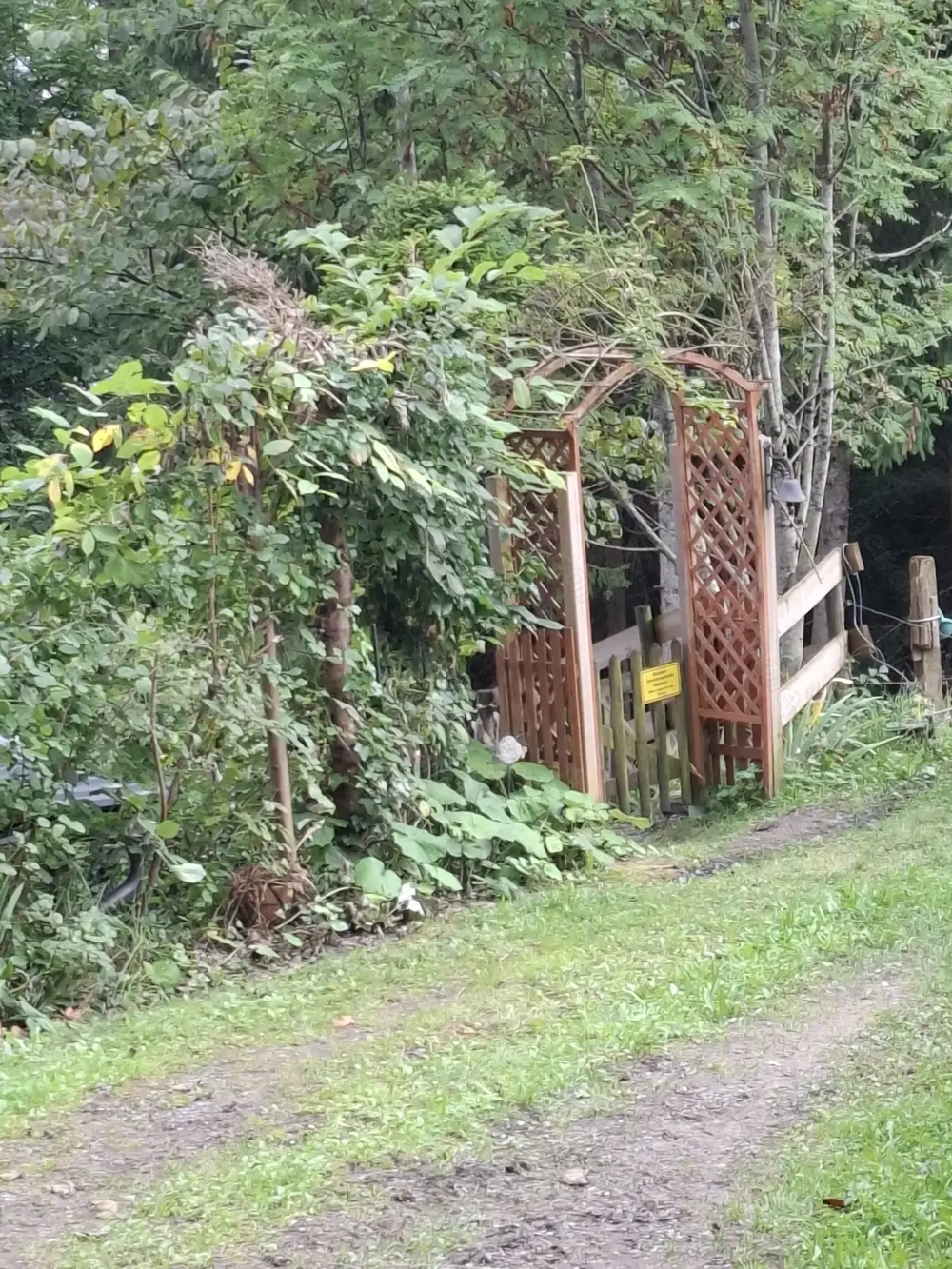 Ferienhütte "Am Waldrand zur Fee"ganzjährig zu vermieten