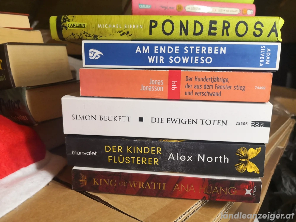 Kinderbücher Jugendbücher Romane 