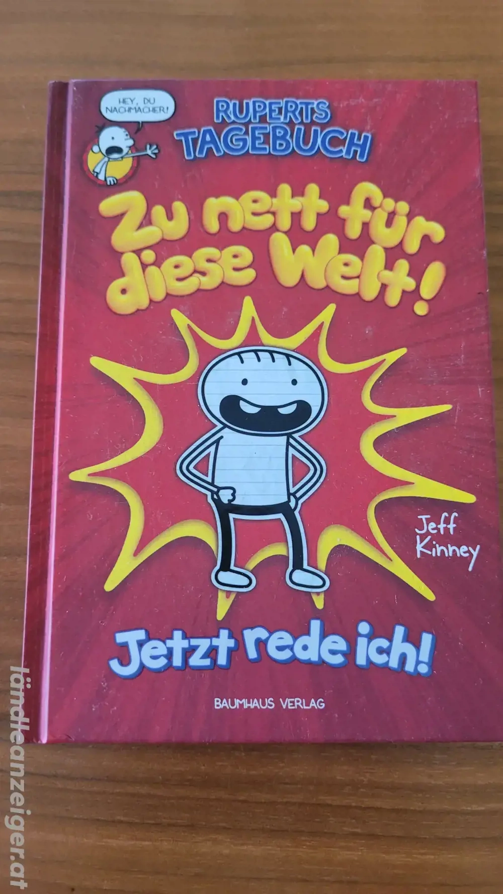 Buch Ruperts Tagebuch zu nett für diese Welt