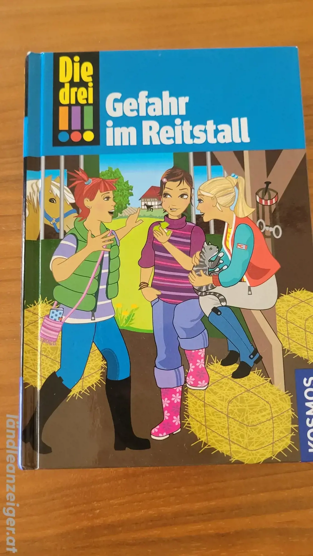 Buch: die drei !!! Gefahr im Reitstall