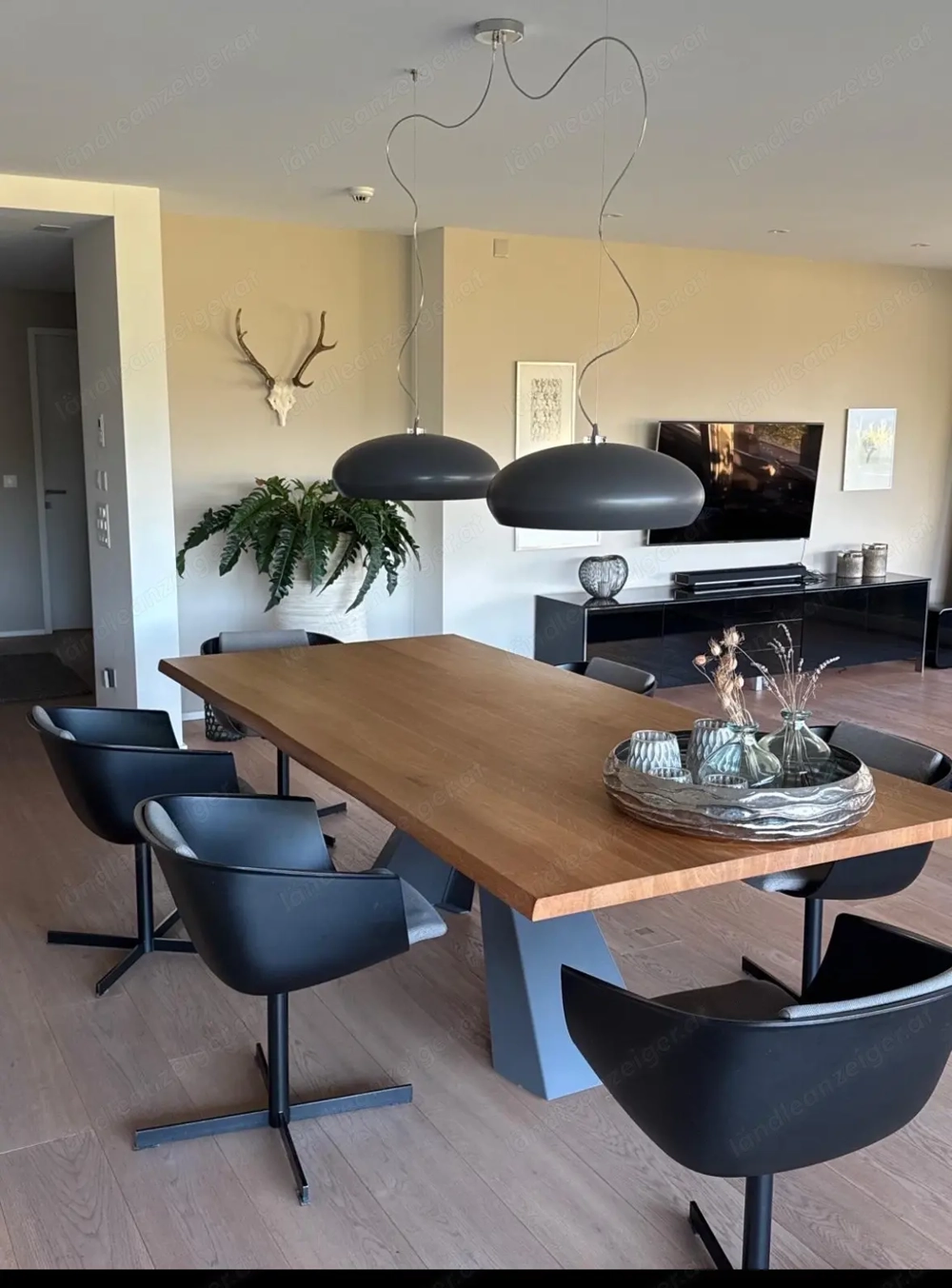  Designer Drehstuhl 6 Stück 