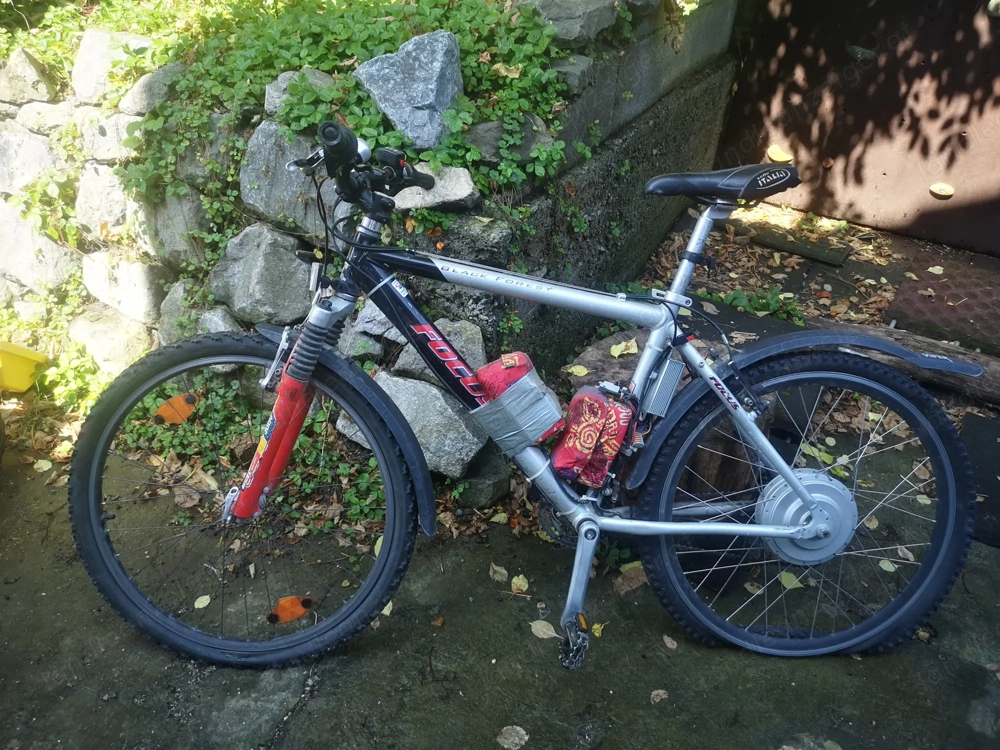 Ebike Pedelec Elektrofahrrad MTB 