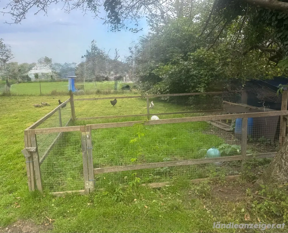 Gehege, Freilaufgehege