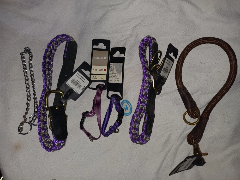Hundeleinen und Hundehalsband Hundeleinen und Hundehalsband