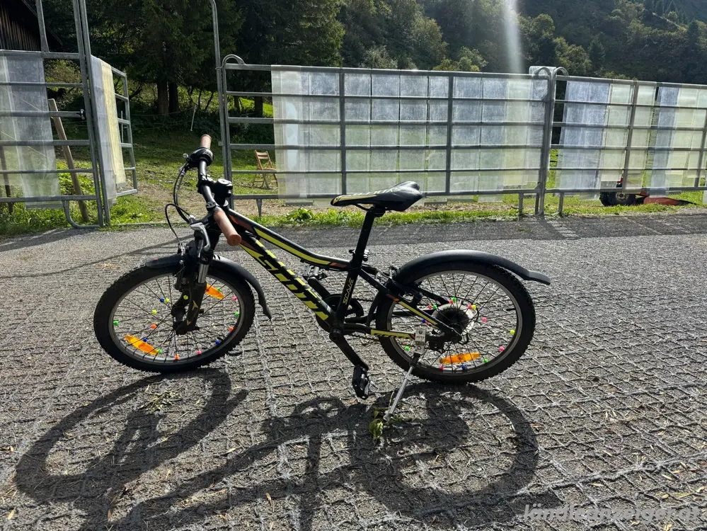 Scott Scale Kinderfahrrad 20"