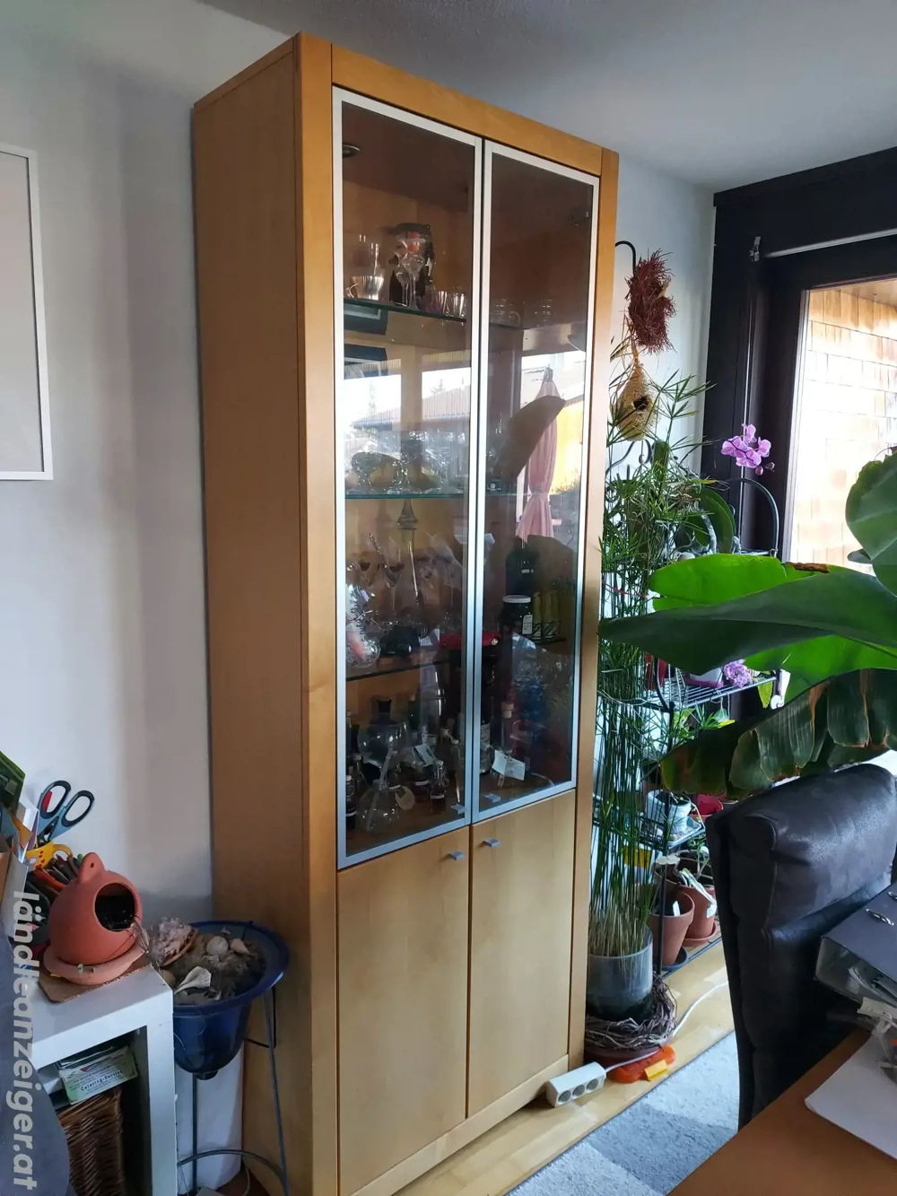 Hülsta Vitrine Xelo Klarglas Ahorn natur