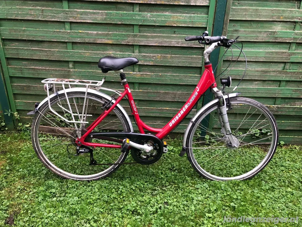Damen Fahrrad
